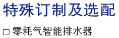 特殊訂制及選配.jpg